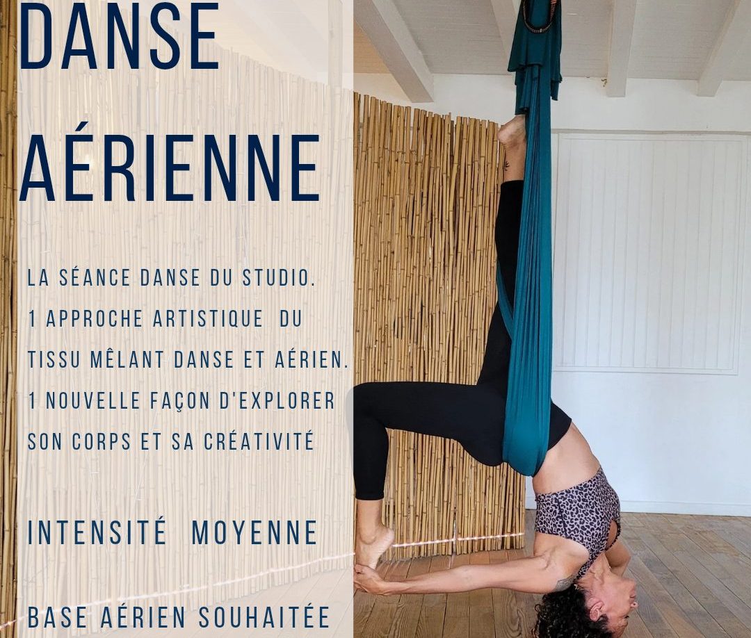 SEANCE DE YOGA AERIEN ET PILATE