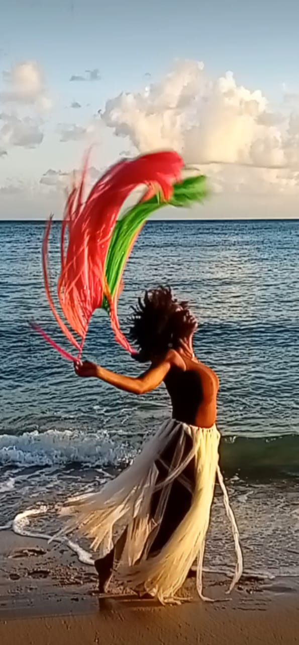 SUN ET COULEURS FANM LINK